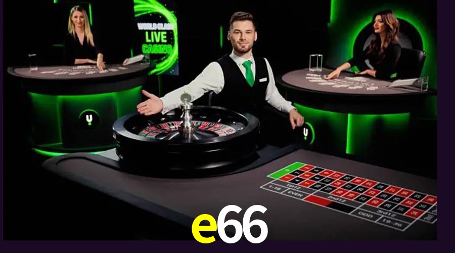 Flash Promotion e66